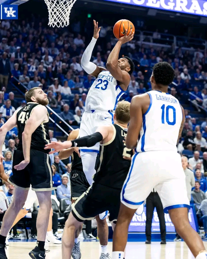 Fans Wanted Answers About Kentucky’s Lineup — and One Player Just Gave Them One
